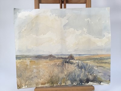Lot 939 - *Mary Millar Watt (1924-2023) large collection of works on paper, oils on canvas board and other works, landscapes etc