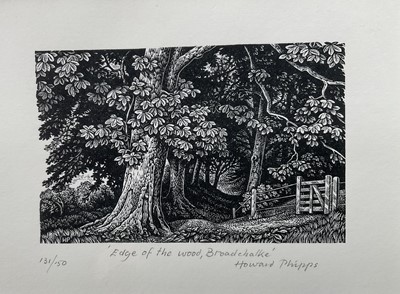 Lot 17 - Howard Phipps (b.1954) limited edition woodcut - Edge of the Wood, Broadchalke, signed, 131/150, 6.5cm x 10cm, glazed frame