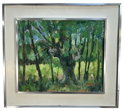 Lot 1119 - Peter Collins (1923-2001) oil on board - Trees in Landscape, signed, 50cm x 60cm, framed