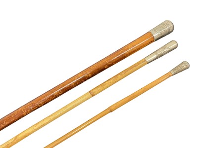 Lot 773 - Early 20th Regimental malacca walking cane with Essex Regiment badge to knop, together with two bamboo Essex Regiment swagger sticks, (3).