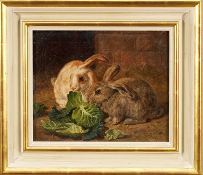 Lot Alfred Richardson Barber (1844-1924) oil on canvas - Two Rabbits, signed, 26cm x 31cm, framed