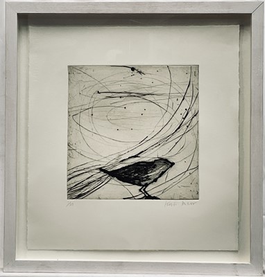 Lot 1117 - Kate Boxer (b. 1961) etching - Small Bird, signed and numbered 1/30, 41cm x 38cm, in glazed frame