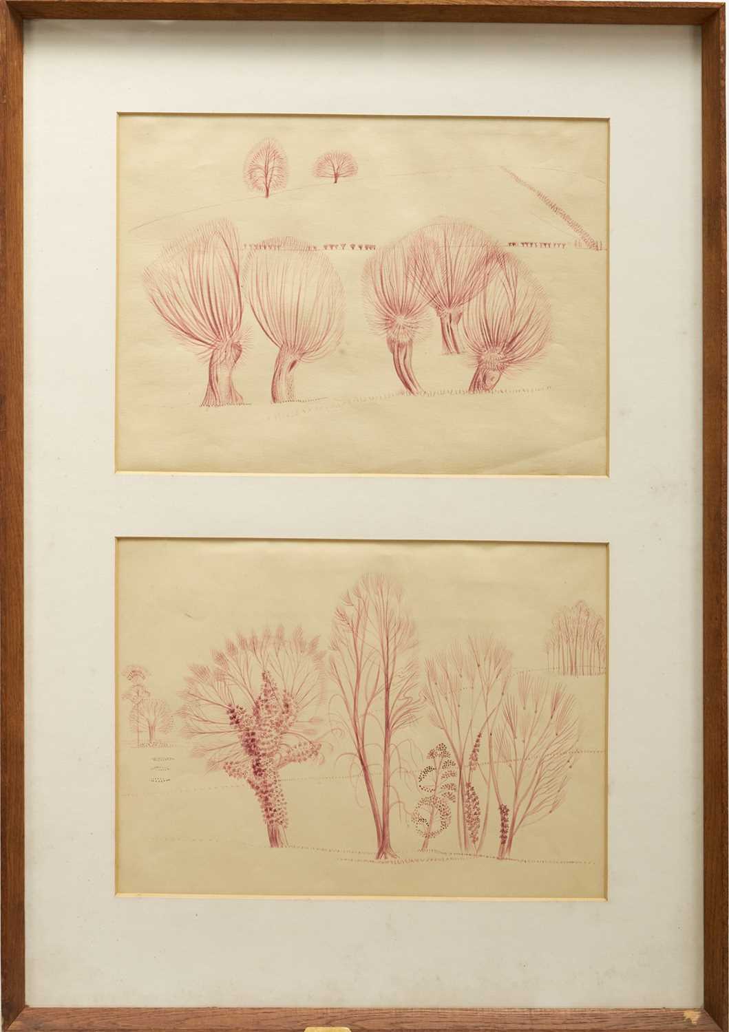 Lot 1081 - *Francis Plummer (1930-2019) pair of coloured ink drawings - Pollarded Willows, 27cm x 37cm, framed as one