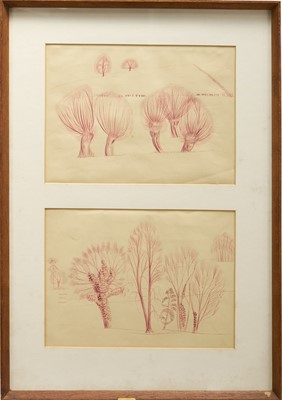 Lot 1081 - *Francis Plummer (1930-2019) pair of coloured ink drawings - Pollarded Willows, 27cm x 37cm, framed as one