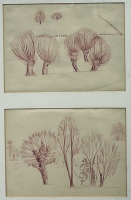 Lot 1081 - *Francis Plummer (1930-2019) pair of coloured ink drawings - Pollarded Willows, 27cm x 37cm, framed as one