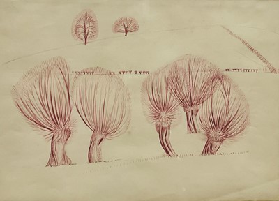 Lot 1081 - *Francis Plummer (1930-2019) pair of coloured ink drawings - Pollarded Willows, 27cm x 37cm, framed as one