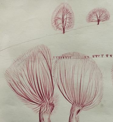 Lot 1081 - *Francis Plummer (1930-2019) pair of coloured ink drawings - Pollarded Willows, 27cm x 37cm, framed as one
