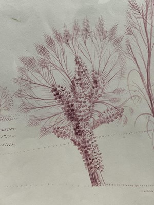 Lot 1081 - *Francis Plummer (1930-2019) pair of coloured ink drawings - Pollarded Willows, 27cm x 37cm, framed as one