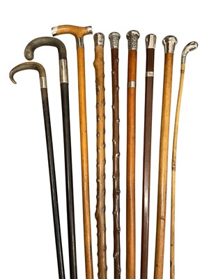 Lot 806 - Collection of nine silver mounted walking sticks