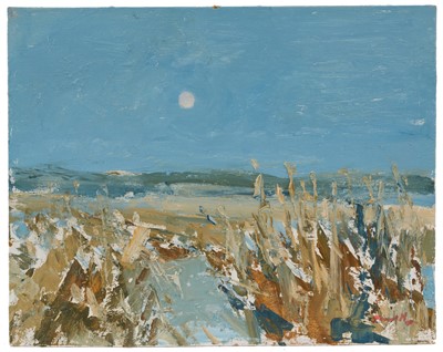 Lot *Jonathan Trowell (1938-2013) oil sketch on board - Norfolk Marshes, signed, 20.5cm x 25.5cm, unframed. Provenance: the artist's studio, thence by family descent