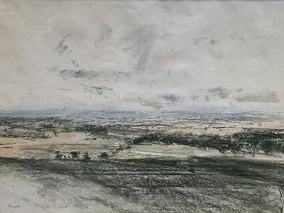 Lot 1060 - *Jonathan Trowell (1938-2013) pastel - Norfolk Landscape, signed, 47cm x 64cm, in glazed frame. Provenance: Chappel Galleries