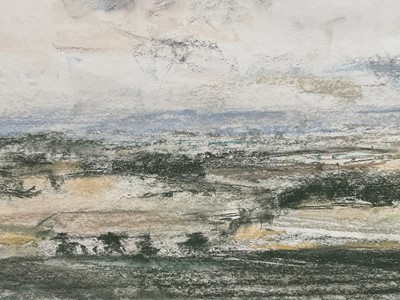 Lot 1060 - *Jonathan Trowell (1938-2013) pastel - Norfolk Landscape, signed, 47cm x 64cm, in glazed frame. Provenance: Chappel Galleries