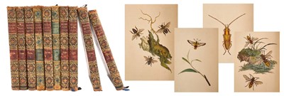 Lot 798 - Edward Donovan - The Natural History of British Insects, 1794-1810, 10 vols. (of 16) extensively illustrated with handcoloured plates, confirming quarter calf binding with marbled boards