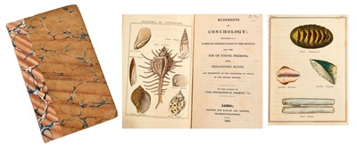 Lot 801 - Mary Ann Venning - Rudiments of Conchology, with 10 hand contemporary hand-coloured plates, 8vo, 1826, marbled boards