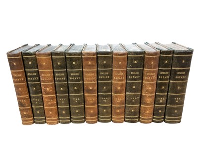 Lot 802 - Sir James Edward Smith - English Botany, illustrated by James Sowerby, second edition, volumes I-XII, printed by Richard Taylor for C.E. Sowerby, Westminster Road, London, 1832, hand-coloured eng...
