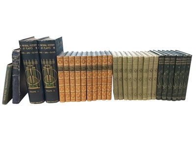 Lot 803 - Hulme & Hibbard - Familiar Garden Plants, first series, 5 volumes, bookplate for John Tolhurst, together with Familiar Wild Flowers in conforming bindings