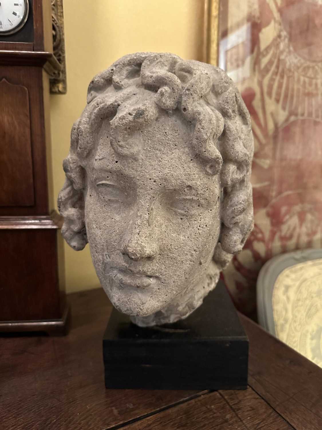 Lot 1563 - Carved stone head of a youth, possibly Mediaeval, presented on a wooden plinth