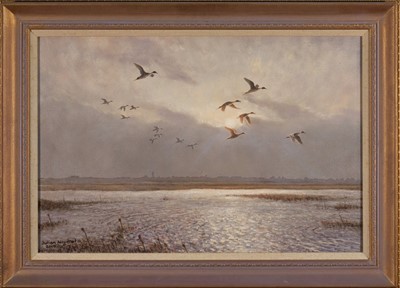 Lot 1072 - *Julian Novorol (b. 1949) acrylic on canvas - Pintails at Walton, NB: commissioned from the artist