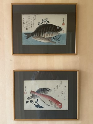 Lot 1657 - Two Japanese coloured woodblocks depicting fish, signed, 24cm x 36cm, in glazed frames