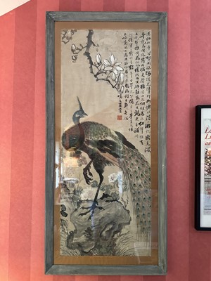Lot 1770 - Chinese School, 20th century, watercolour and ink - A Peacock, signed and inscribed, in glazed frame