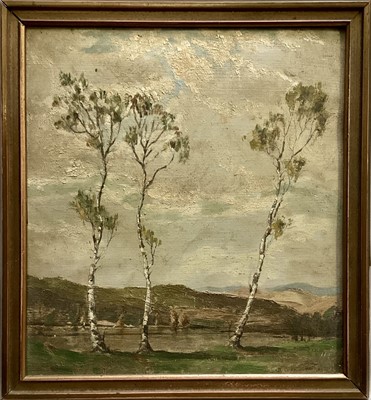 Lot 165 - French School, oil on canvas laid on board, landscape with Silver Birch trees, 26cm x 24cm, framed