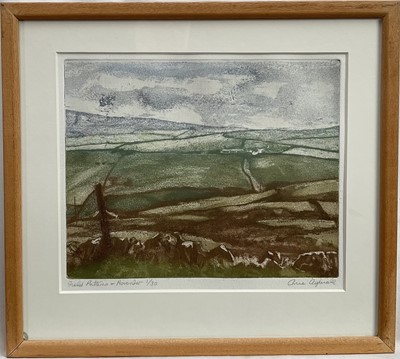 Lot 103 - Anne Aspinall (b. 1949) limited edition etching and aquatint - Field Patterns, November, signed and numbered 1/30, 20cm x 25cm, glazed frame