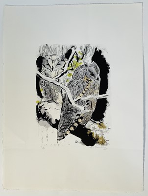 Lot 92 - Jean Chevallier (1913-2002) Two Tawny Owls, lithograph print, signed and dated 1995, limited edition print 75/90, overall size 38cm x 28.5cm, unframed.