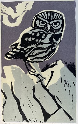 Lot 91 - Kim Atkinson (b.1962) multi plate linoprint, Little Owl, signed and dated 1995, edition no. 75/90, 38cm x28cm, unframed.
