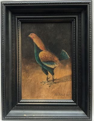 Lot 262 - Jack Pollard of Hoxne, oil on board, fighting cock, signed and inscribed in a black frame. 24 x 16cm.