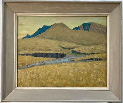 Lot 64 - Wyndham Lloyd (1909-1997) oil on board, Scottish Mountains, gallery label verso, 40cm x 50cm, framed