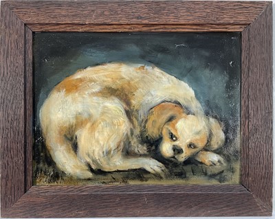Lot 20 - English school, oil on panel - A Spaniel resting, 18cm x 24cm, framed