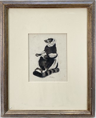 Lot 183 - Maurice Wilson (1914-1987) watercolour, Lemur, signed, 22 x 17cm. Provenance: Estate of John Burton (1944-2022), renowned conservationist and ecologist, founder of the World Wide Land Conservati...