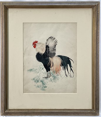 Lot 184 - Maurice Wilson (1914-1987) watercolour Yokohama Cock flapping wings, 37 x 28cm. Provenance: Estate of John Burton (1944-2022), renowned conservationist and ecologist, founder of the World Wide L...