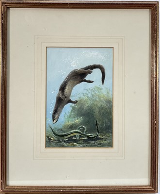 Lot 187 - Bruce Pearson (b. 1950) gouache, Otter, signed, 18 x 13cm, glazed frame. Provenance: Estate of John Burton (1944-2022), renowned conservationist and ecologist, founder of the World Wide Land Con...