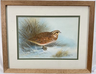 Lot 189 - Gordon Turton, watercolour, Quail, signed and dated 2001, 18 x 25cm, glazed frame. Provenance: Estate of John Burton (1944-2022), renowned conservationist and ecologist, founder of the World Wid...