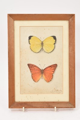 Lot 871 - Manner of Georgius Jacobus Johannes Van Os (1782-1861) watercolour on laid paper