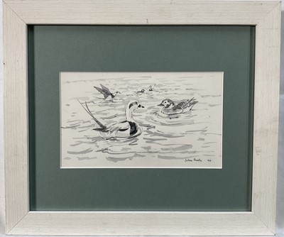 Lot 190 - John Busby (1928-2015) graphite and watercolour - Ducks, signed and dated '96, 12 x 21cm, glazed frame. Provenance: Estate of John Burton (1944-2022), renowned conservationist an...