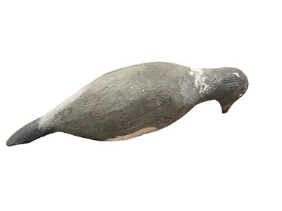 Lot 156 - Decoy pigeon, 40cm long. Provenance: Estate of John Burton (1944-2022), renowned conservationist and ecologist, founder of the World Wide Land Conservation Trust
