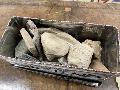 Lot 158 - Collection of Chinese and other antiquities, many with labels. Provenance: Estate of John Burton (1944-2022), renowned conservationist and ecologist, founder of the World Wide Land Conservation...