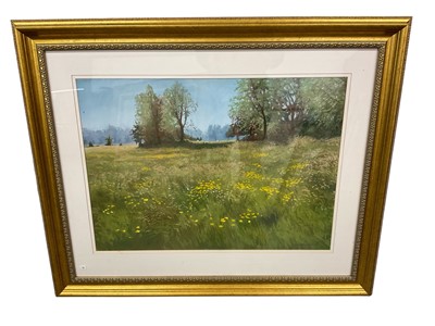 Lot 1112 - Brian Argent Smith (1937-2025) pastel, summer meadows, signed, 57 x 74cm, glazed frame