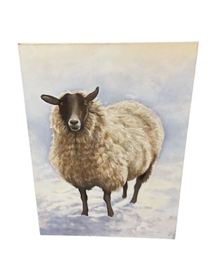 Lot 1119 - Brian Argent Smith (1937-2025) oil on canvas, sheep, 81 x 61cm