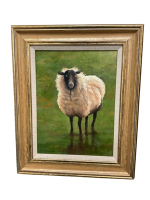 Lot 1121 - Brian Argent Smith (1937-2025) oil on board, sheep, signed, 40 x 28cm, framed