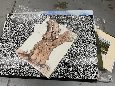 Lot 1132 - Brian Argent Smith (1937-2025) - Folio of various unframed works