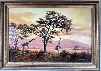 Lot 224 - Michael Kitchen-Hurle (b. 1941) acrylic on canvas, Giraffe in a landscape, signed, 50cm x 76cm, framed