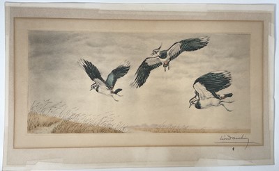 Lot 155 - Léon Danchin (1887-1938) signed lithograph, Northern Lapwings in flight, 23cm x 50.5cm, unframed