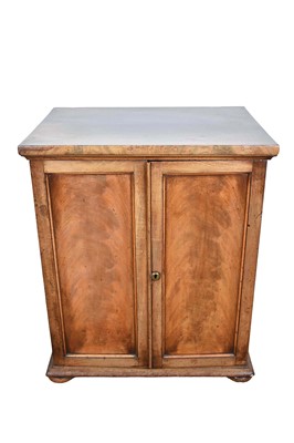 Lot 1243 - Victorian mahogany collector's cabinet