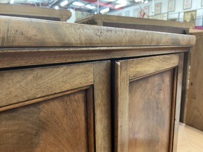 Lot 1243 - Victorian mahogany collector's cabinet