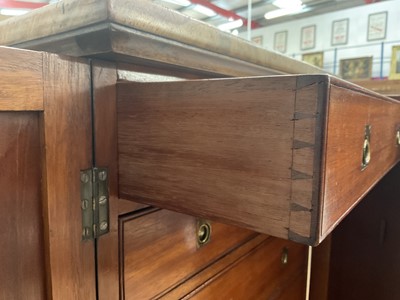 Lot 1243 - Victorian mahogany collector's cabinet
