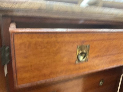 Lot 1243 - Victorian mahogany collector's cabinet