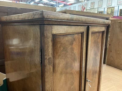 Lot 1243 - Victorian mahogany collector's cabinet